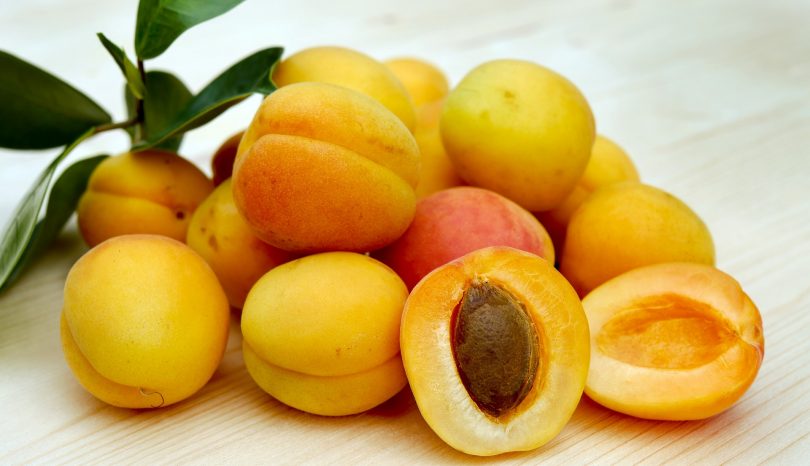 The Many Uses Of Apricot Seeds
