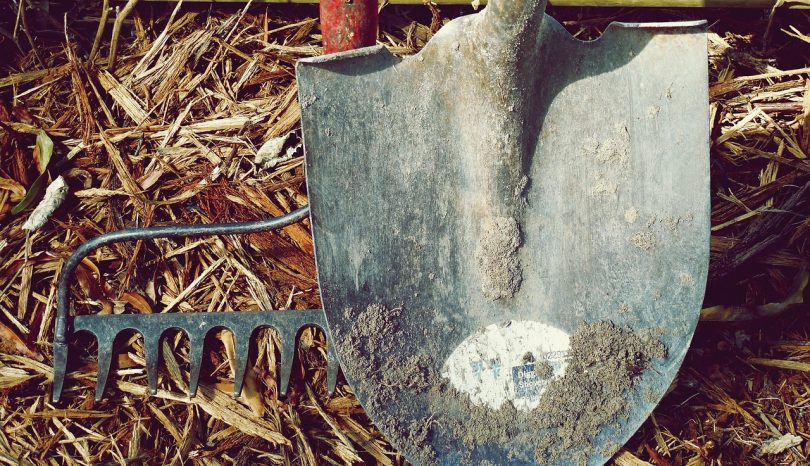 The Essential Tools for Your Garden