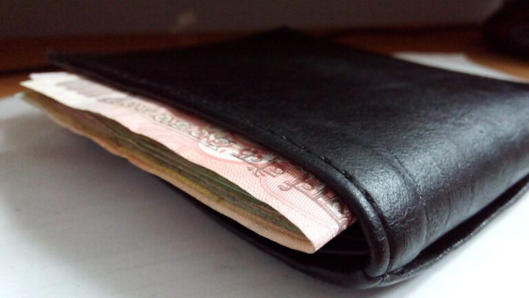 purse-388998_1280 (1)