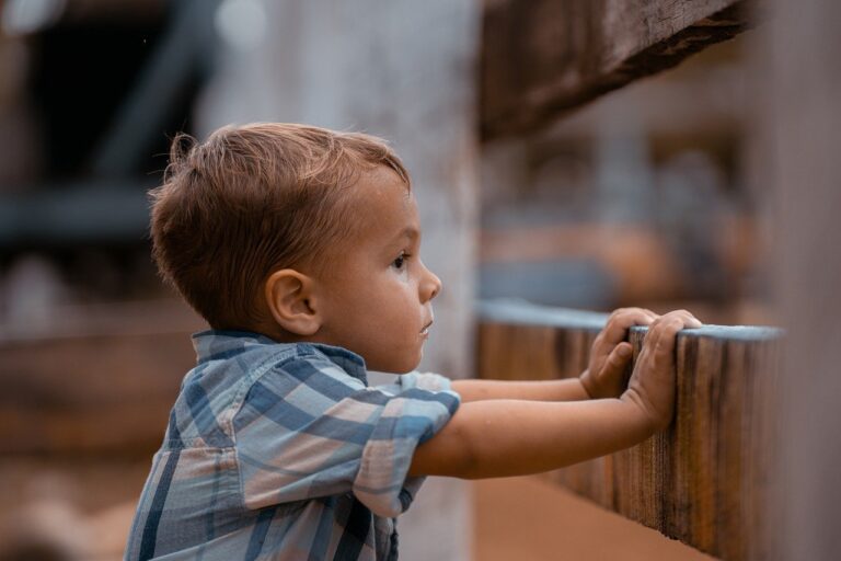 boy-8209561_1280