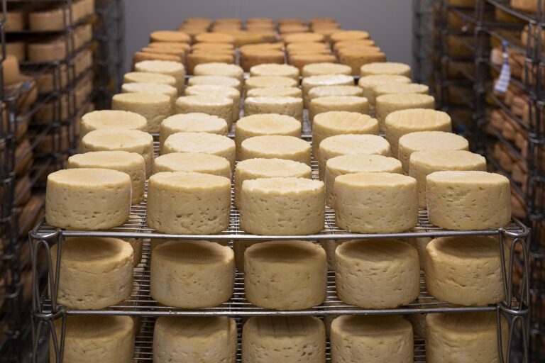 cheese-5125021_1280