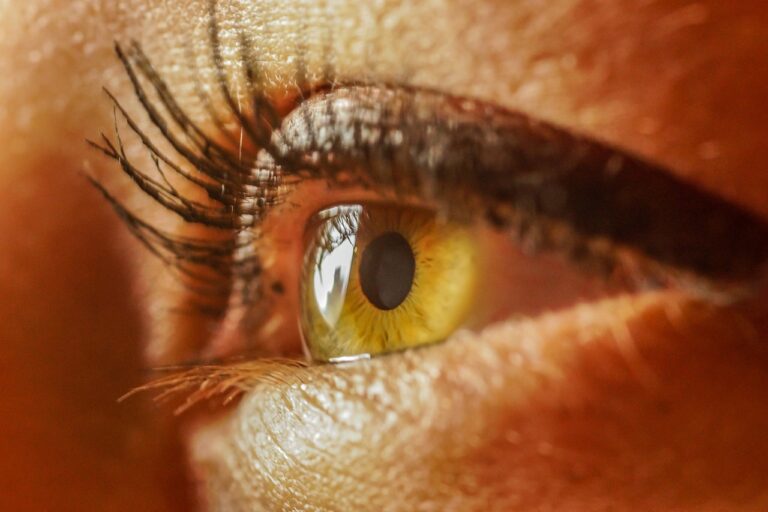 eye-4367141_1280 (1)