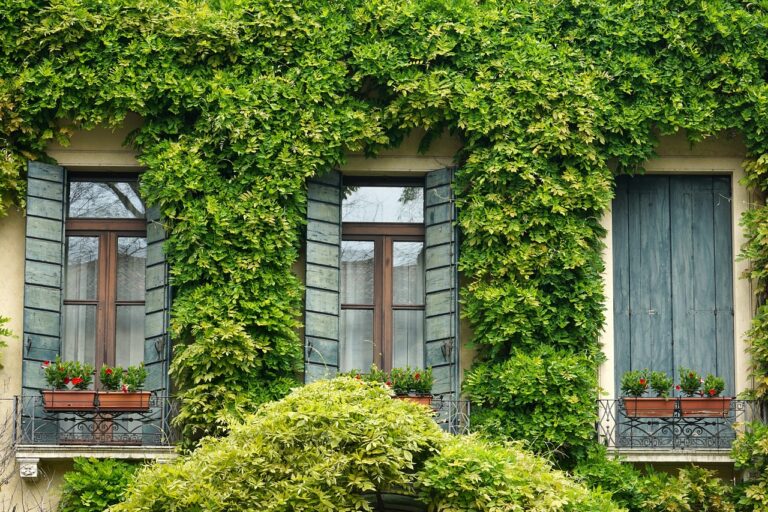 window-7169327_1280