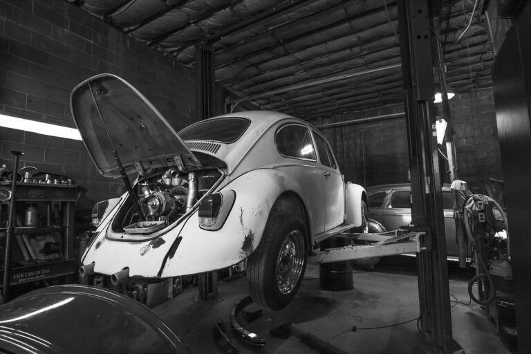 beetle-5523224_1280