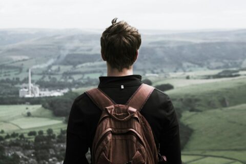 person overlooking on tall trees during daytime