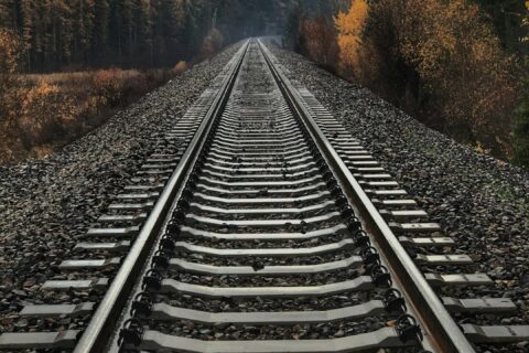railway between tall trees