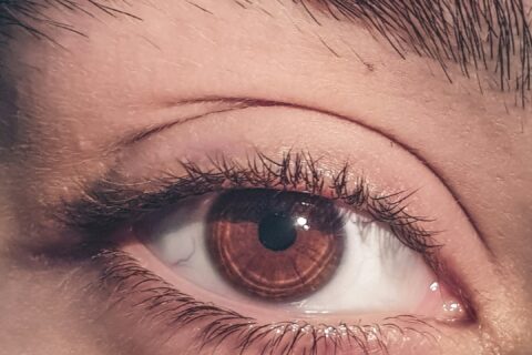 A close-up of a brown human eye with dark eyelashes and an eyebrow